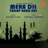 Mera Dil Tadap Raha Hai